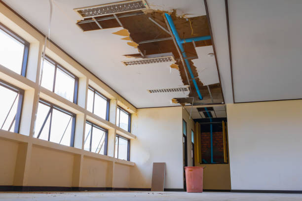 Best Ceiling water damage repair  in Newport, DE