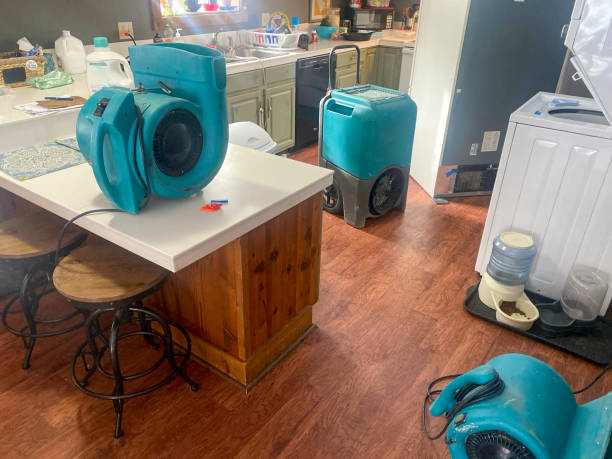 Best Water damage contractors near me  in Newport, DE