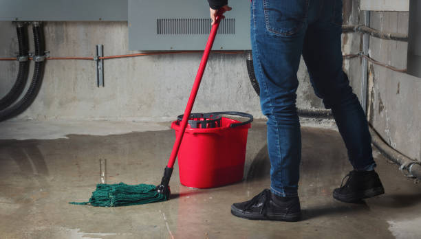 Best Flood restoration services  in Newport, DE