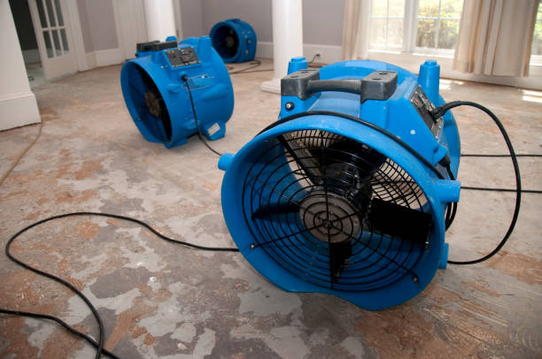Best Emergency water extraction  in Newport, DE