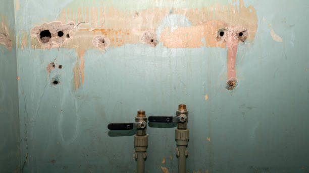 Reliable Newport, DE Water damage restoration Solutions