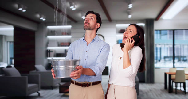 Best Carpet water damage restoration  in Newport, DE