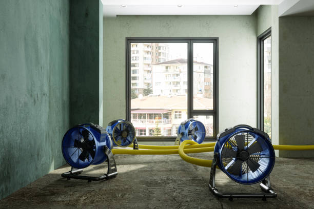 Best Basement water damage restoration  in Newport, DE