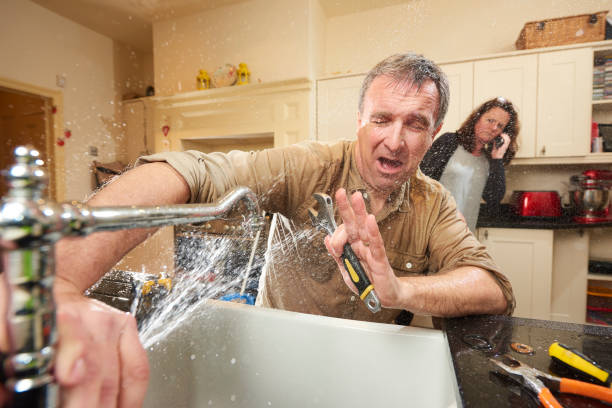 Best Flooded house restoration  in Newport, DE